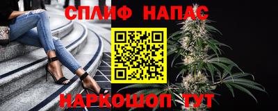 хмурый Тула