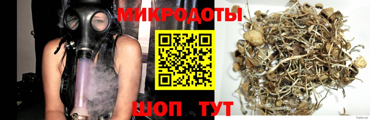 Галлюциногенные грибы мухоморы Отрадный